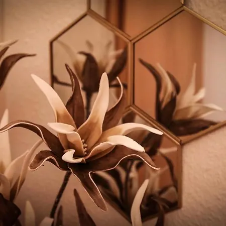 Modern With A Great View دريسدن