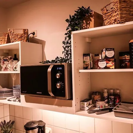 Modern With A Great View Διαμέρισμα Δρέσδη